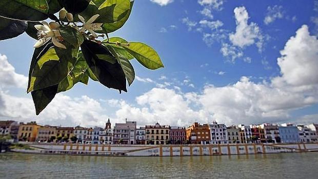 El tiempo en Sevilla: Noches frescas y días de calor