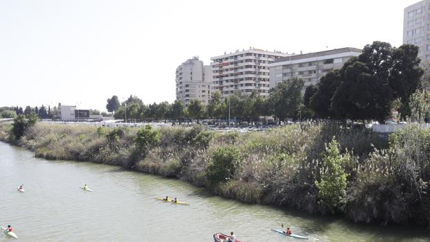 El Puerto de Sevilla inicia la regeneración de la orilla de Los Remedios