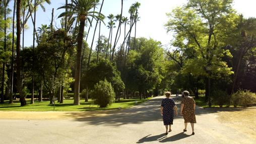 Parque de María Luisa