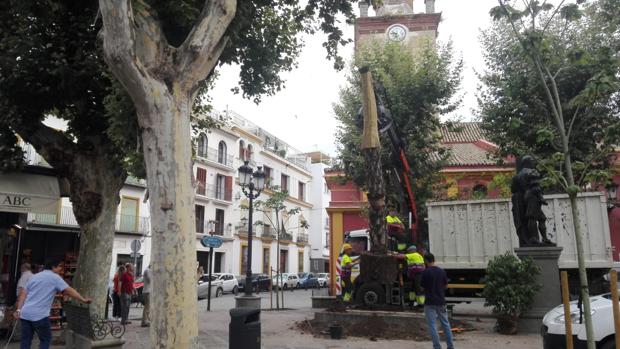 Las palmeras regresan a la plaza de San Lorenzo de Sevilla