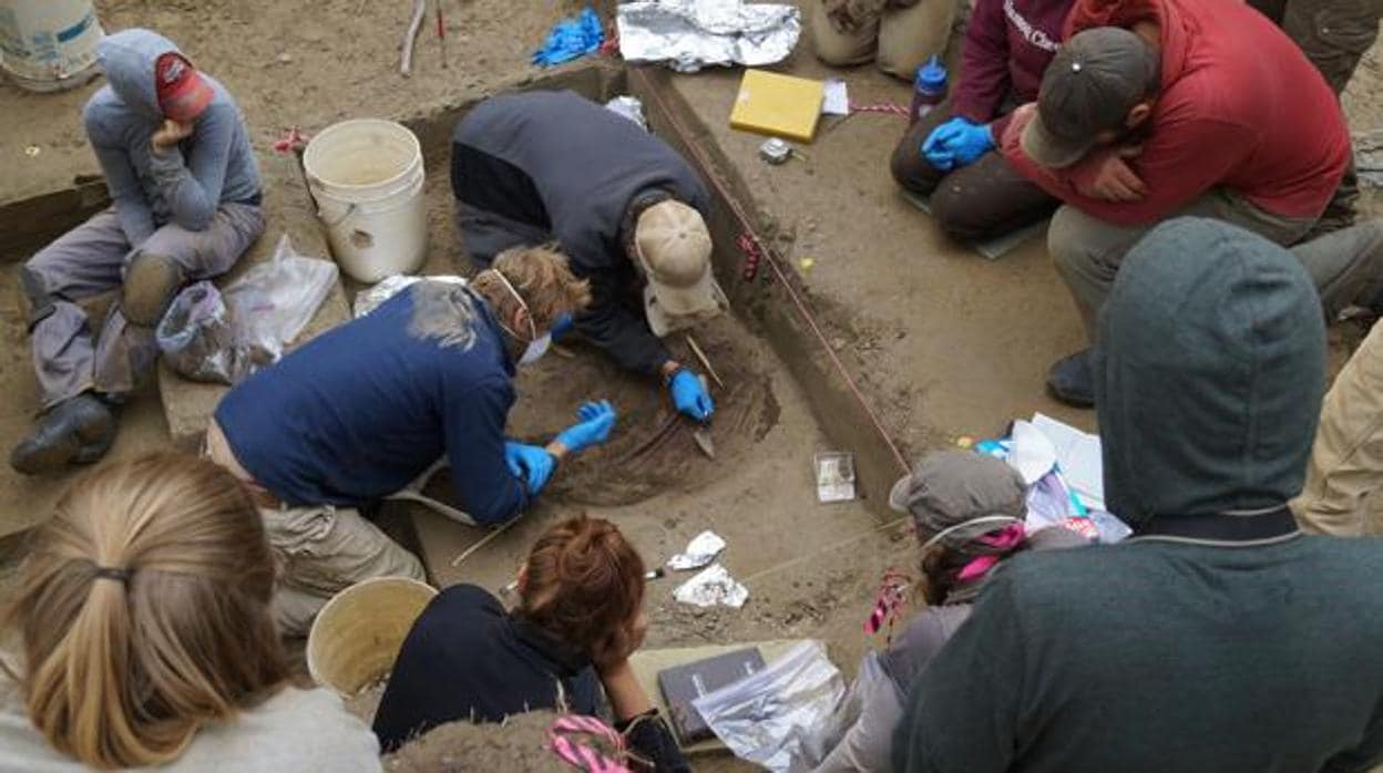 Arqueólogos trabajando en un descubrimiento