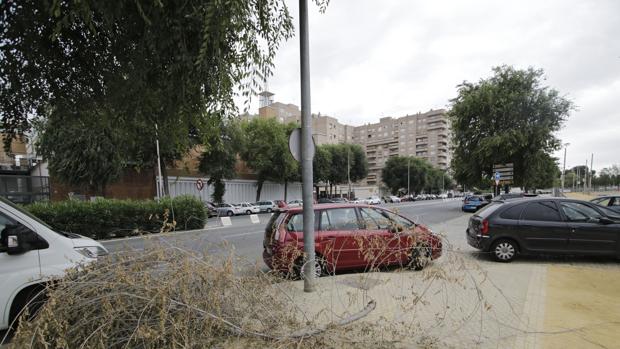El Ayuntamiento de Sevilla invertirá más de 400.000 euros en urbanizar el entorno del recinto ferial