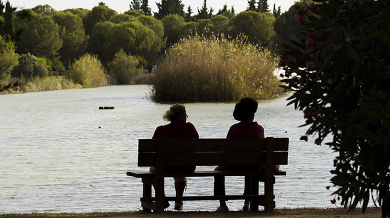 Dos mujeres descansan a la sombra del Parque Infanta Elena