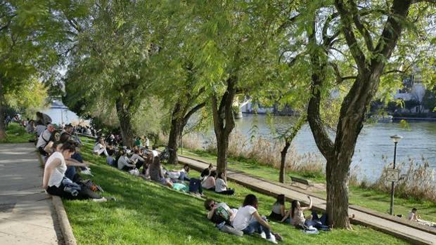 El tiempo en Sevilla: temperaturas estables y poco calor