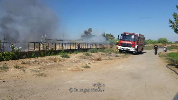 Rescatan a varios animales de un pajar en un incendio en Valdezorras