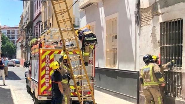 Se derrumba un edificio en obras de la Puerta Osario de Sevilla