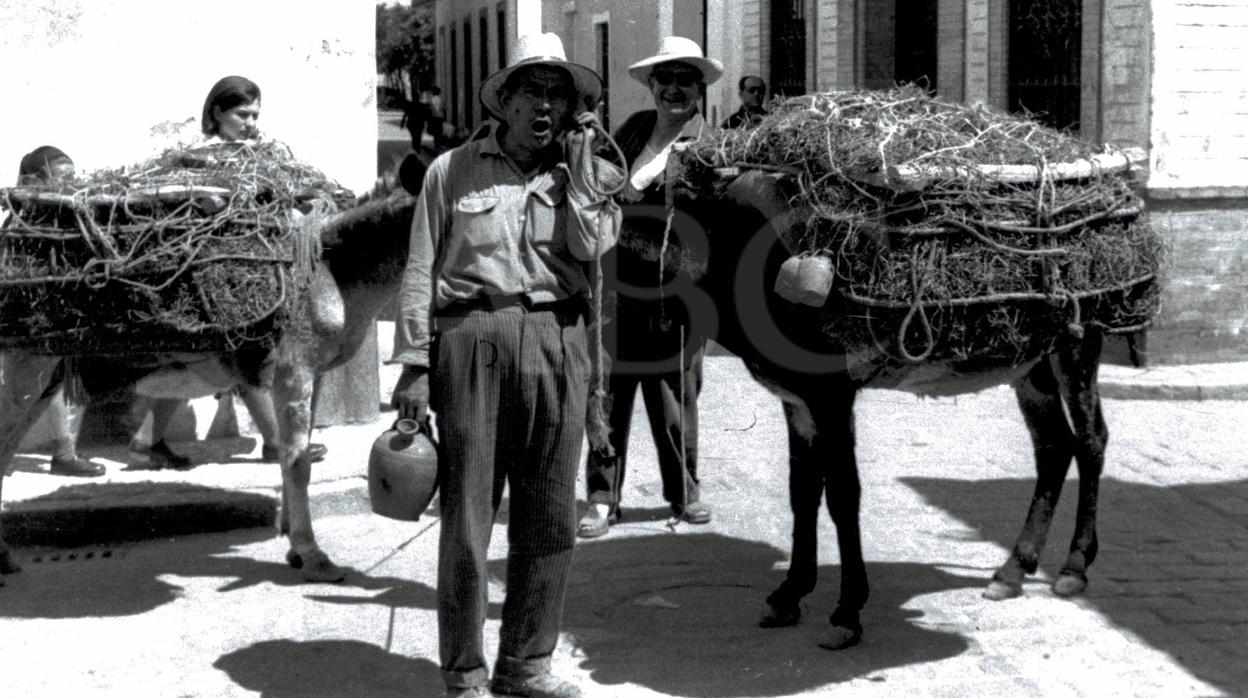 El botijero en Sevilla