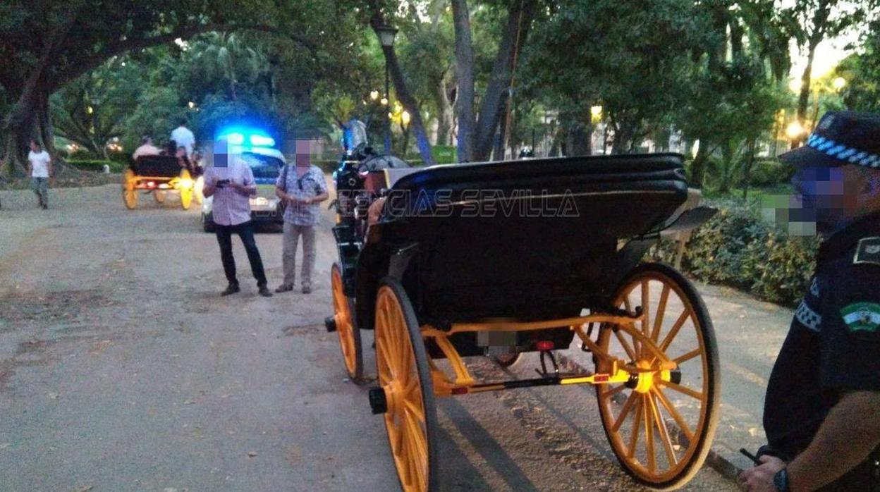 Imagen de un cochero de caballo, junto a la Catedral de Sevilla