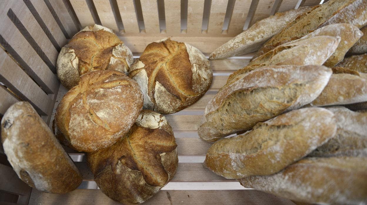 Cada vez son más los establecimientos que ofrecen pan de masa madre y fermentación lenta