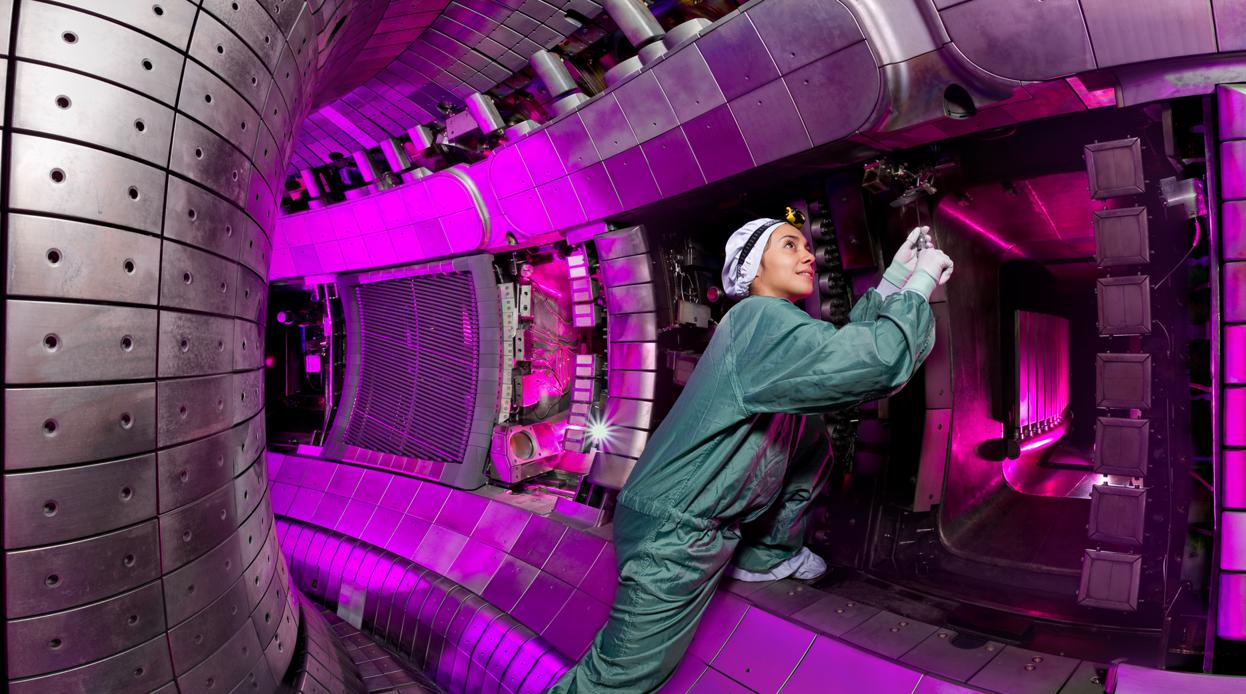 Eleonora Viezzer dentro de un reactor de fusión nuclear, el tokamak ASDEX Upgrade