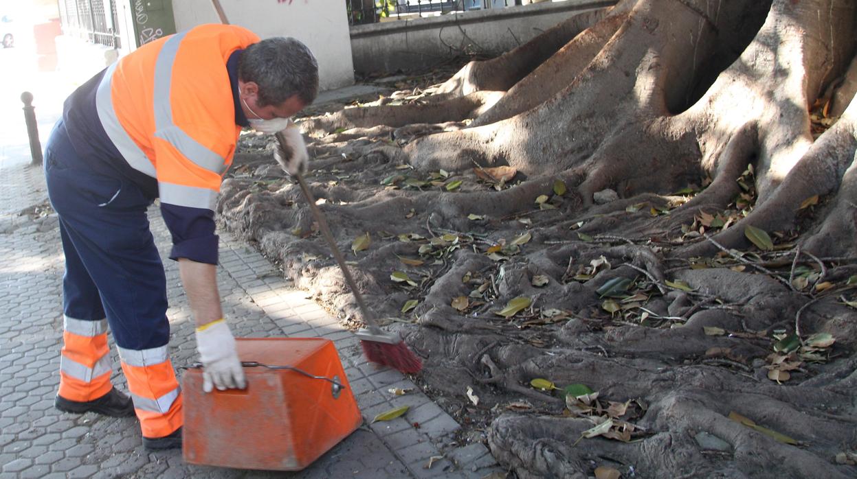 Un operario de Lipasam, en plena labor