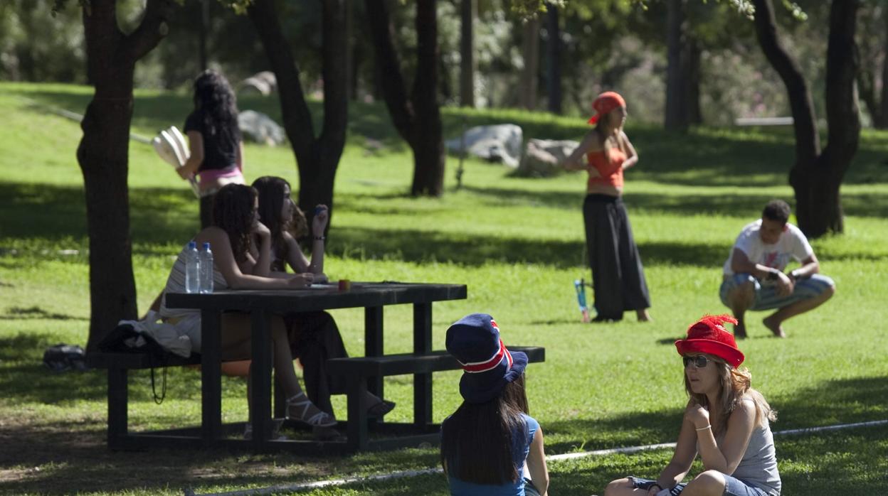 Parque del Alamillo, donde se han producido los robos