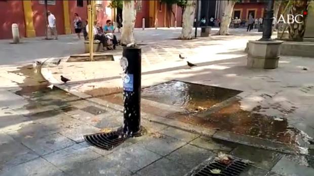 La rotura de una tubería de agua inunda la plaza de San Lorenzo de Sevilla