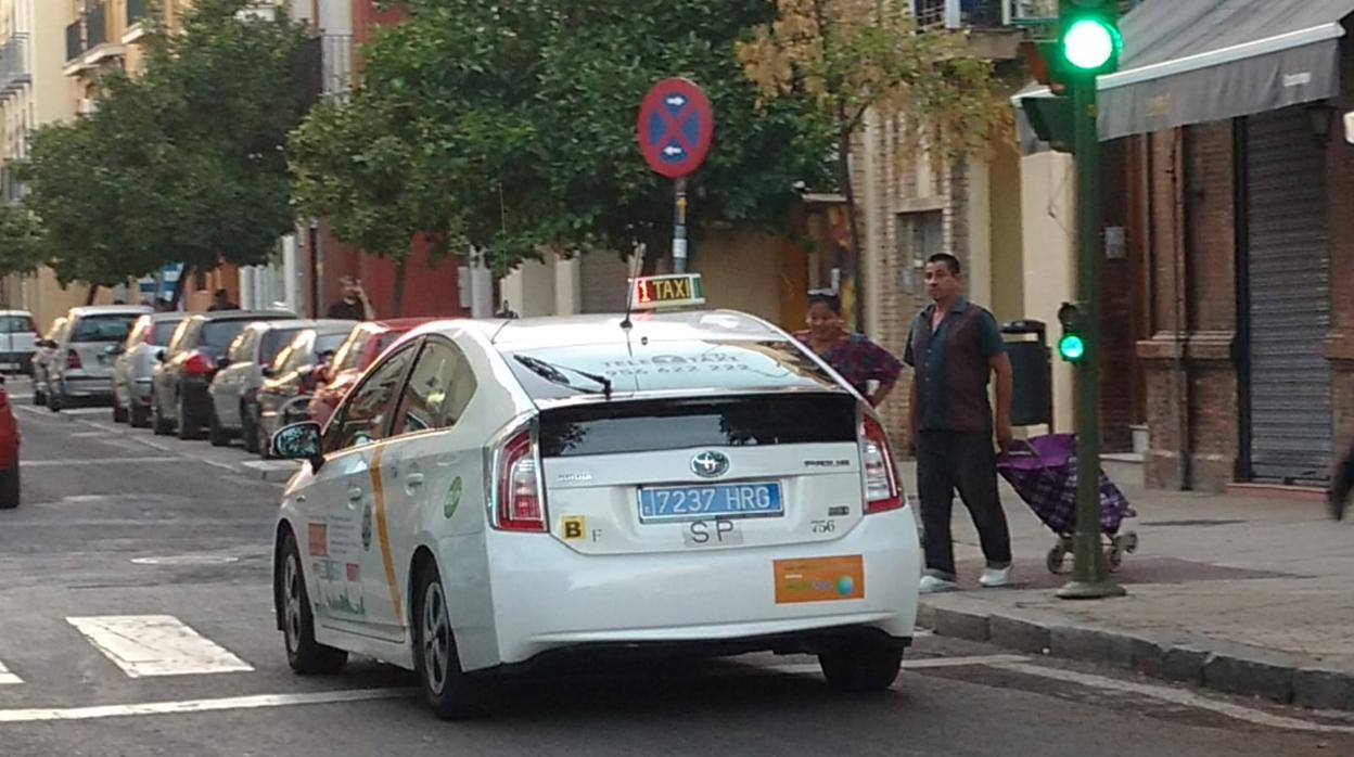 Una de las nuevas matrículas traseras de los taxis