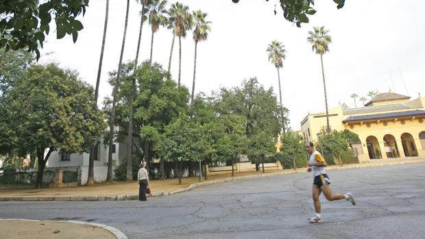 Sevilla se librará de precipitaciones durante dos días, pero volverán a partir de la madrugada del jueves