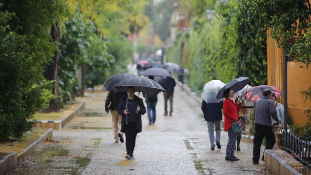 Lluvia y descenso de temperaturas para el fin de semana en Sevilla