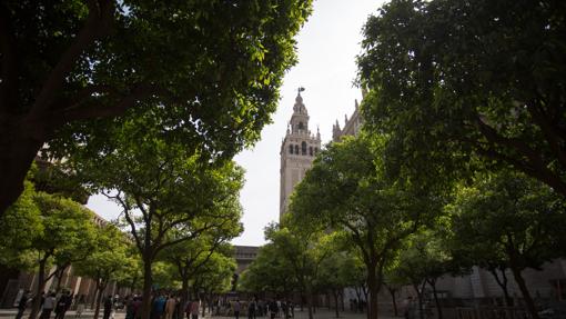 La Giralda de Sevilla vista desde el Patio de los Naranjos