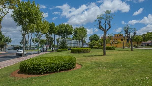 La nueva ordenanza sobre zonas verdes de Sevilla capital será sometida a votación popular