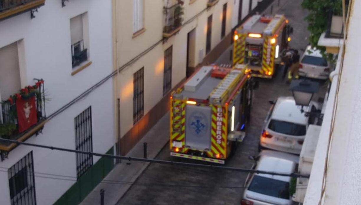 Los Bomberos de Sevilla en la calle Pasaje Marqués de Esquivel