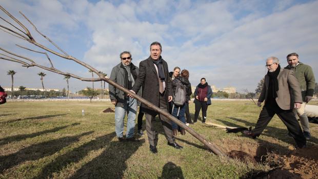 Espadas contabiliza más de 5.000 árboles y arbustos plantados en Sevilla tras las talas del verano