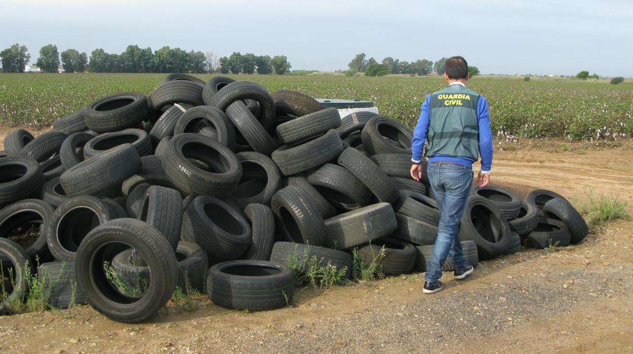 Investigan a una empresa por abandonar más de cien neumáticos junto a un camino rural en La Rinconada