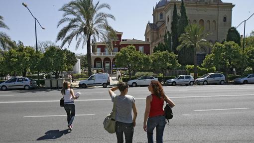 Avenida de la Palmera