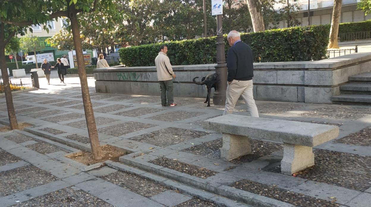 Uno de los cuatro bancos de hormigón que quedan junto a la fuente