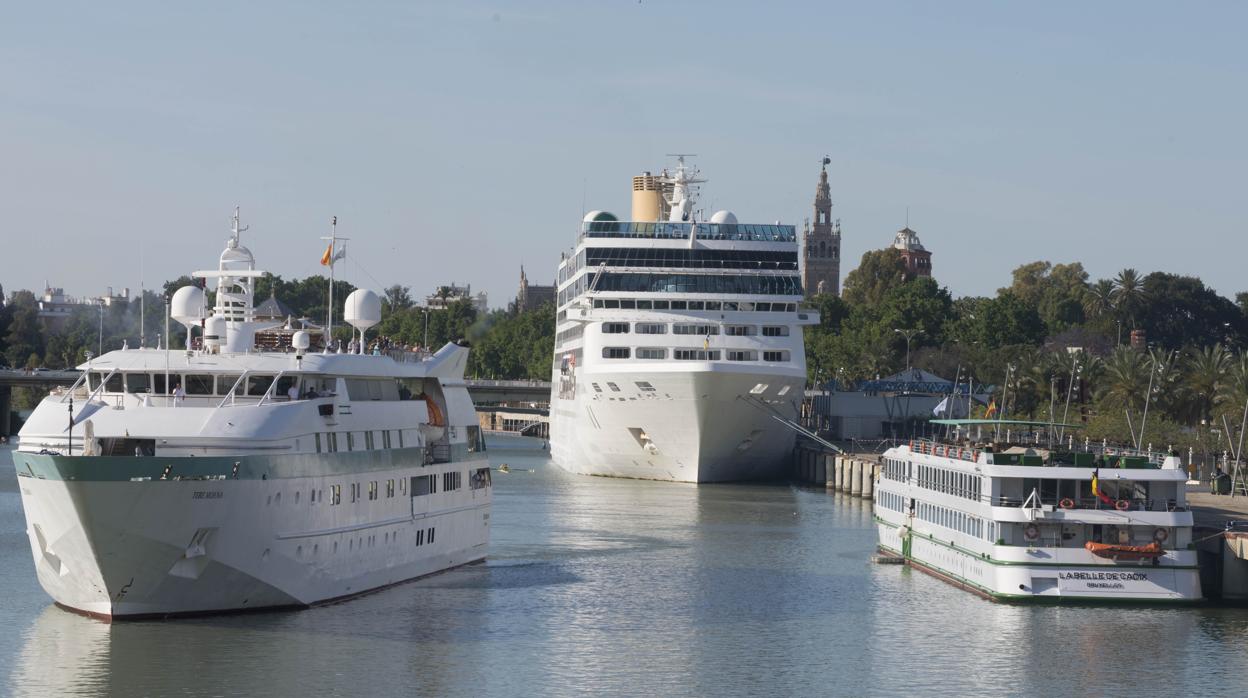 Varios cruceros atracados en el muelle de las Delicias