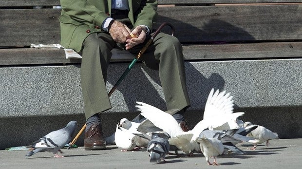 Dar de comer a las palomas es peligroso