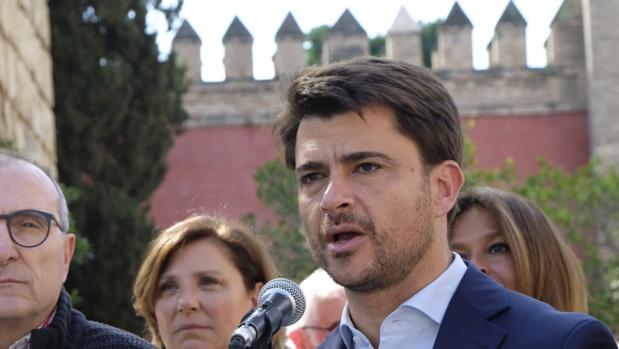 Beltrán Pérez baraja que los sevillanos entren en el Alcázar sin esperar colas