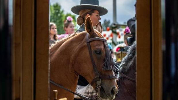 Galería: Jueves, un día perfecto para disfrutar de la Feria de Abril de Sevilla 2019