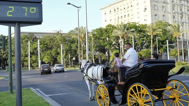 El tiempo en Sevilla: descenso brusco de las temperaturas para tener un fin de semana primaveral