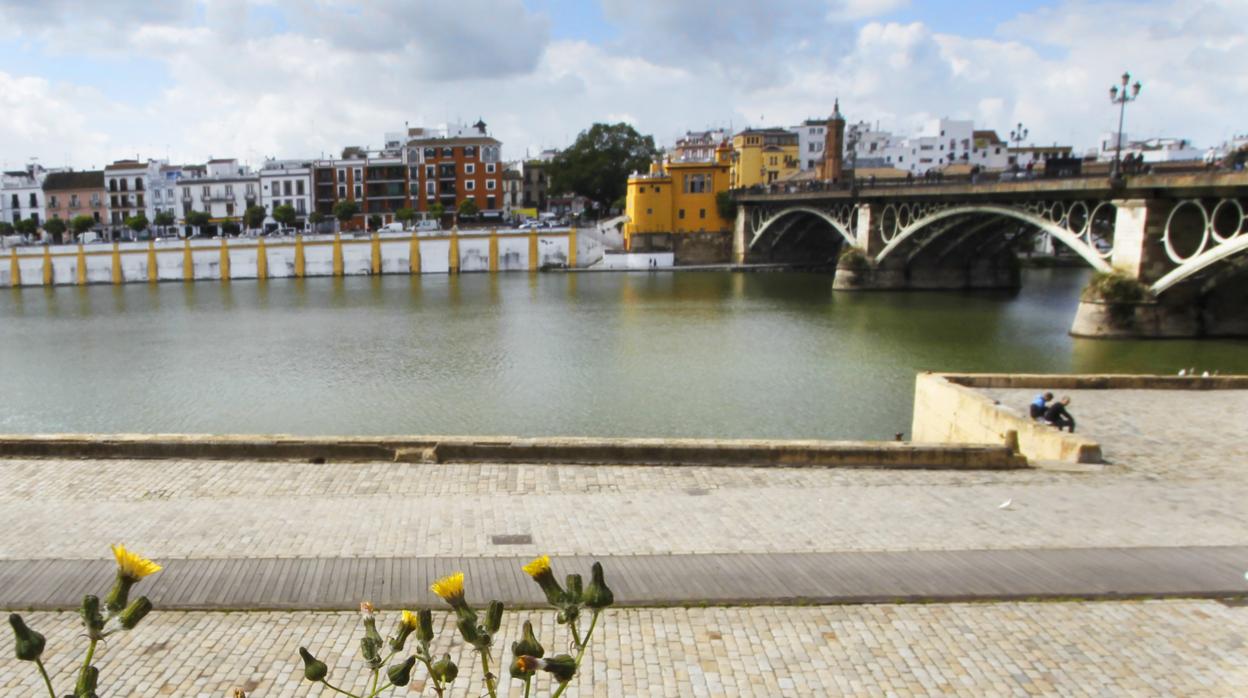 Vista del puente de Triana desde el Paseo de Colón con la calle Betis al fondo