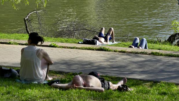 El tiempo en Sevilla: Los termómetros volverán a superar los 30 grados este fin de semana