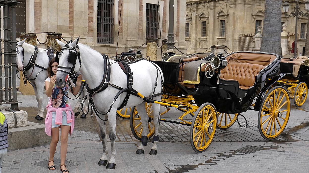 La Policía ha prohibido aparcar el sábado en el entorno de la Catedral y desplazará a los coches de caballos