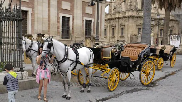 Los coches de caballos de la Catedral, en pie de guerra por la boda de Sergio Ramos y Pilar Rubio