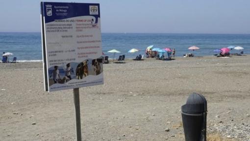 Playa de Arroyo Totalán