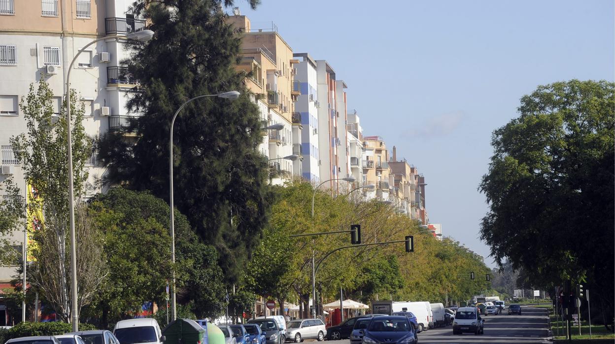 Avenida Emilio Lemos