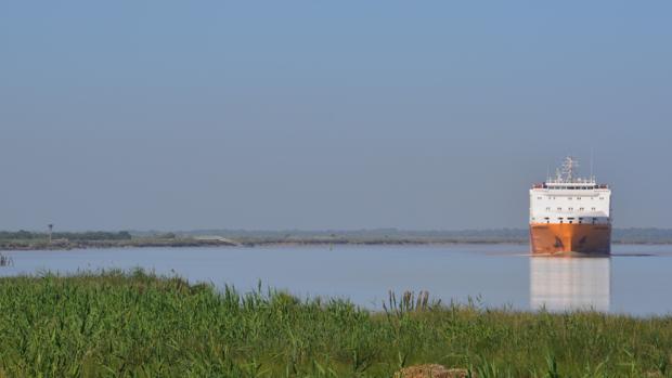 El Puerto de Sevilla descarta que la turbidez del río se deba al tráfico de buques