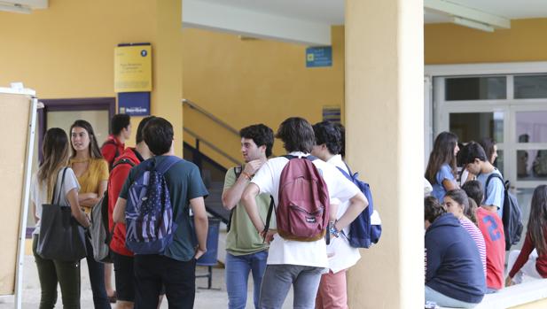 Casi 5.000 estudiantes no consiguen estudiar la carrera que quieren en Sevilla