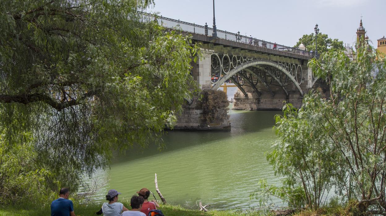 Una familia se refugia del sol en la orilla del Guadalquivir