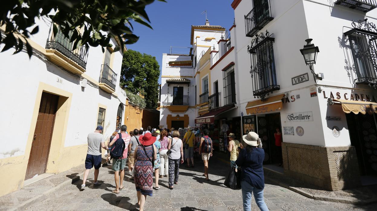 Turistas paseando por el barrio de Santa Cruz de Sevilla