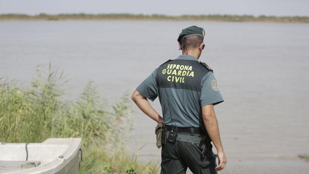 Procesada una sargento del Seprona en Sevilla por denuncia falsa de corrupción en la Guardia Civil