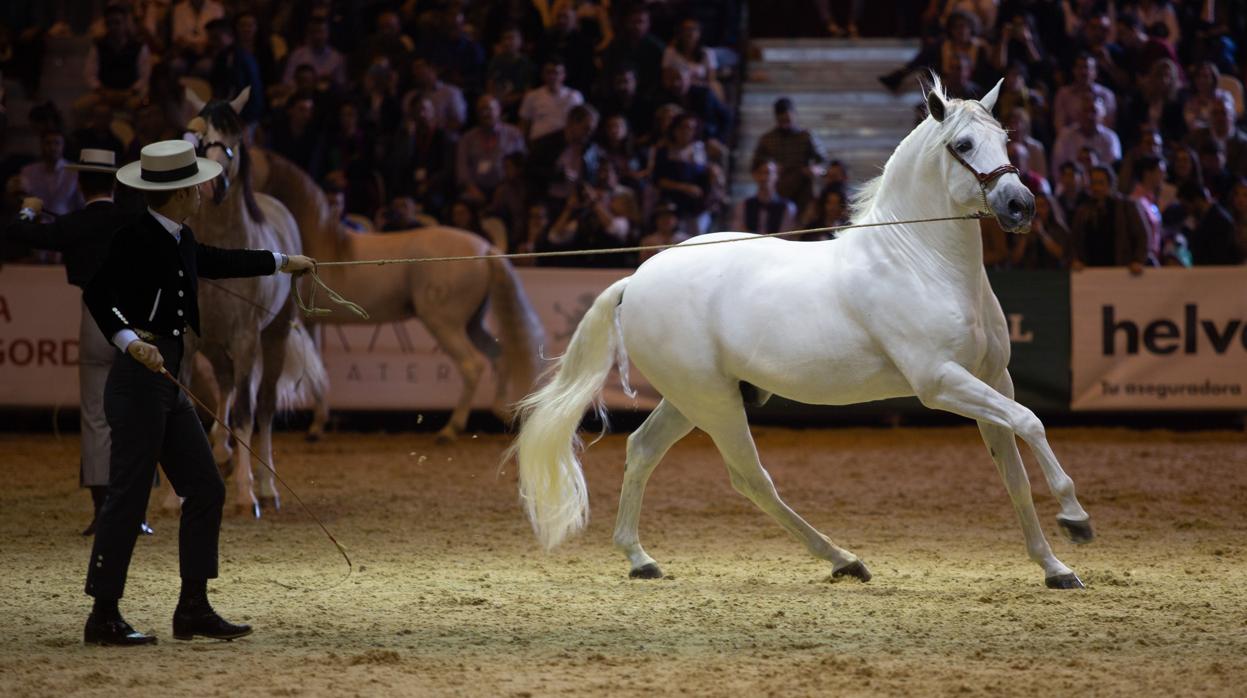 Uno de los espectáculos del Salón Internacional del Caballo