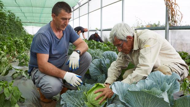 La Caixa destina 11.000 euros a un proyecto que promueve el desarrollo social del medio rural