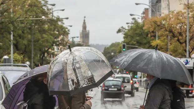 El tiempo en Sevilla: semana de lluvias y viento con alerta amarilla