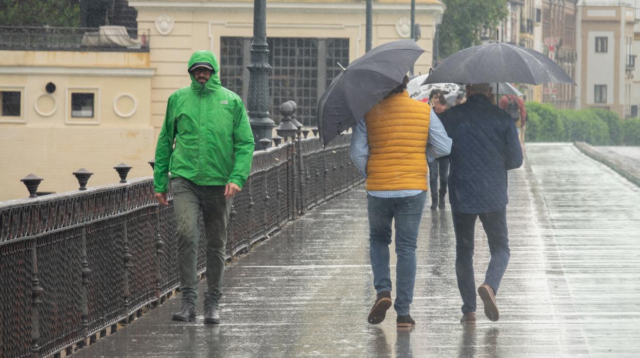 Los paraguas, artículo fundamental para los próximos días en Sevilla