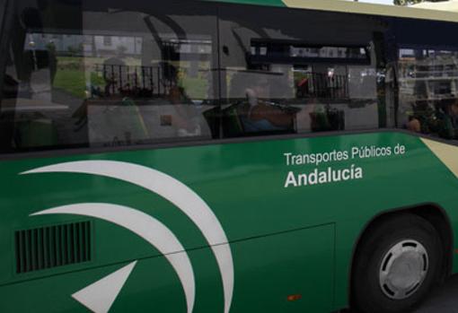 Todas las líneas de transporte metropolitano experimentarán cambios en sus servicios