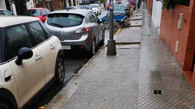 El Ayuntamiento de Sevilla desmiente que la calle Almotamid se vaya a quedar sin árboles