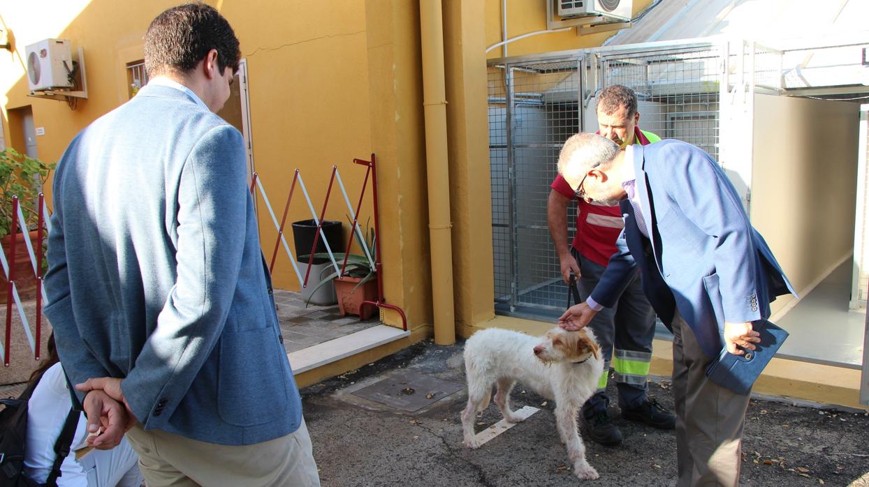 Centro Municipal Zoosanitario de Sevilla